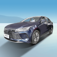 Byd Distruttore 05