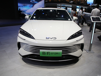 Automobile elettrica della nuova energia volante Vitality ad alte prestazioni